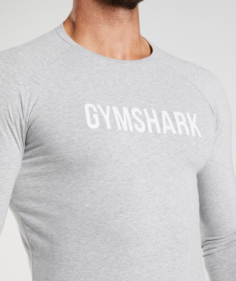 Men's Gymshark Apollo Long Sleeve T-Shirts Light Grey | NZ 6VDBKY